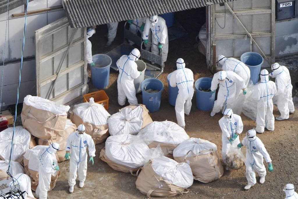 Ministro Carlos Fávaro vai ao Japão nesta sexta-feira devido a embargos por gripe aviária