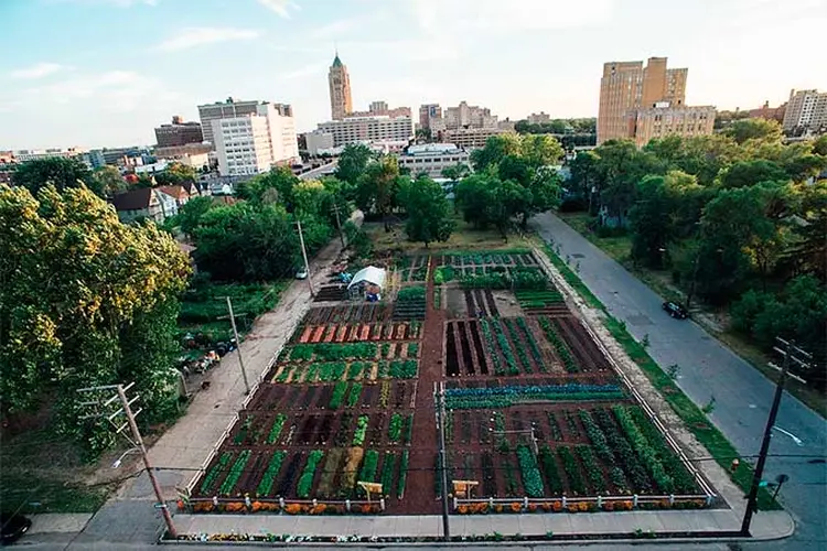  (The Michigan Urban Farming Initiative/Reprodução)