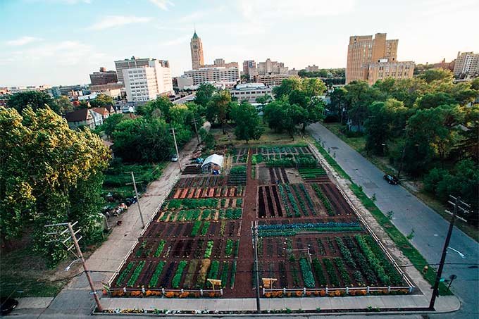 Bairro renasce das cinzas com agricultura urbana nos EUA