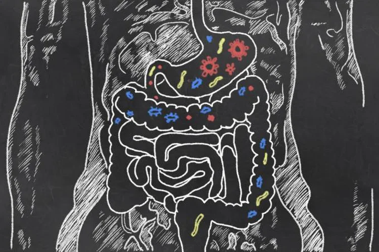 Intestino: (Thinkstock)