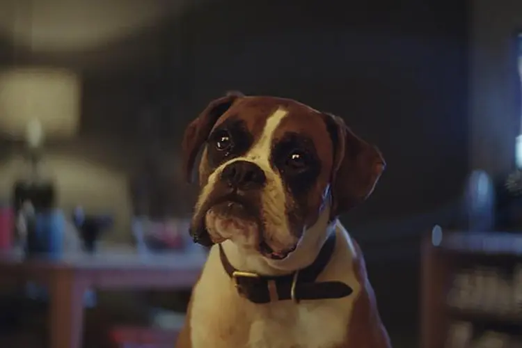 Comercial da John Lewis para o Natal 2016: o que mais viralizou (YouTube/Reprodução)