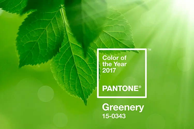 Greenery: o verde que será a cor do ano em 2017 (Pantone/Divulgação)