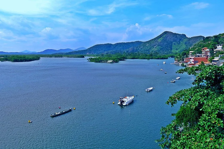 Restinga da Marambaia, no Rio de Janeiro (Asleal76/Wikimedia Commons)