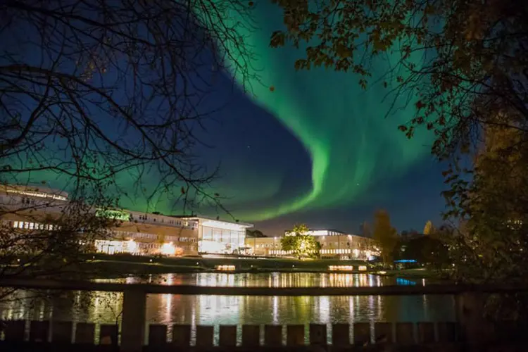 Umeå University: mestrado em inglês (Facebook/ Umeå University/Divulgação)