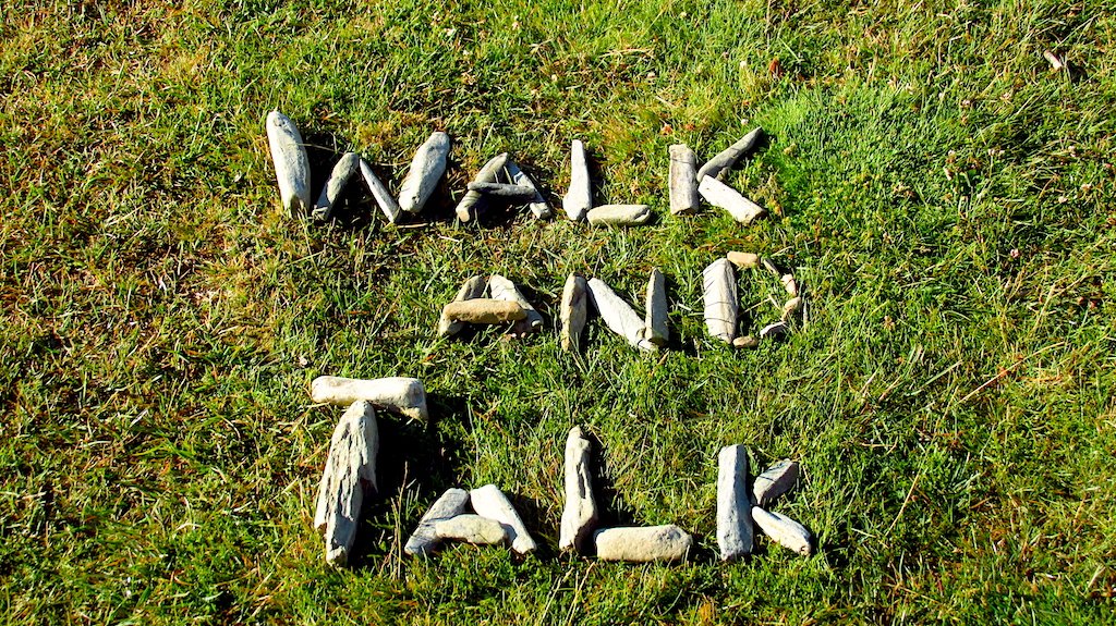 Walk and Talk