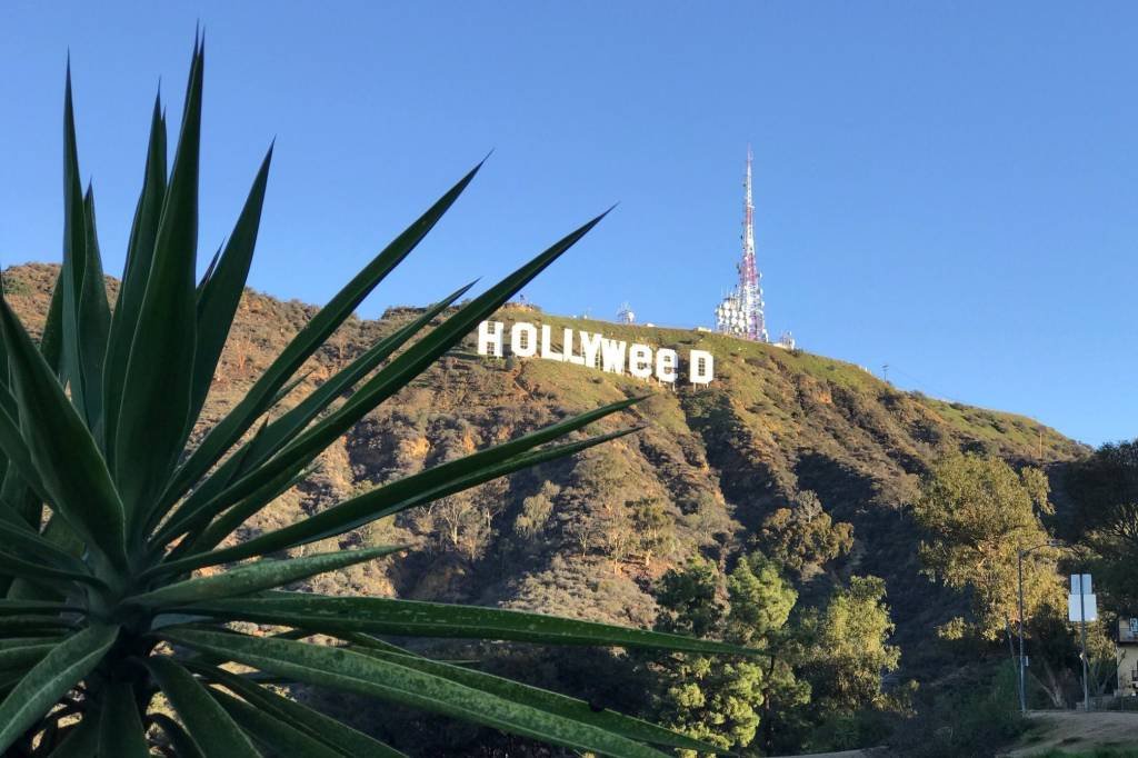 Letreiro de Hollywood virou "Hollyweed" em trocadilho com maconha