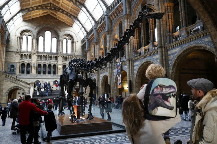 Dippy, o dinossauro: na quinta-feira, uma equipe começará o processo para desmontar Dippy, que deve durar três semanas (Stefan Wermuth/Reuters)