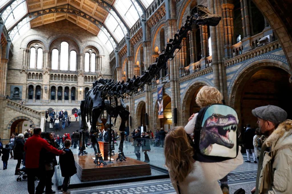 Museu de Londres se despede de seu famoso dinossauro