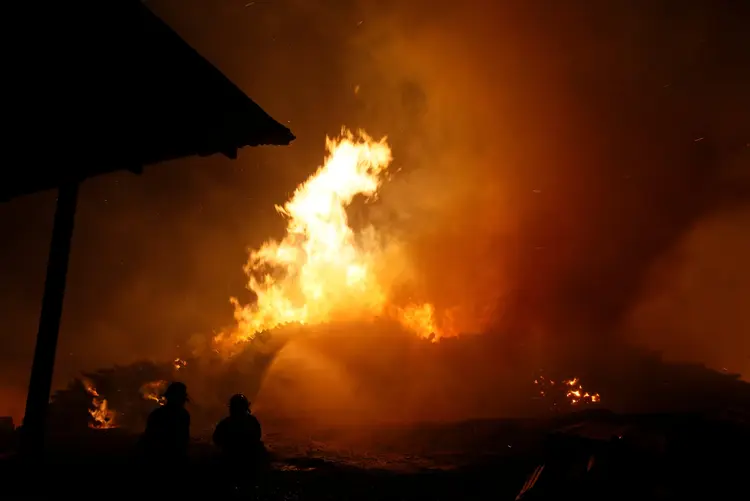 Incêndio devasta floresta na região central do Chile, em Santa Olga (Rodrigo Garrido/Reuters)