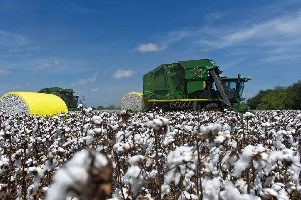 Exportação de algodão do Brasil deve crescer mais de 35% em 2019, diz Anea