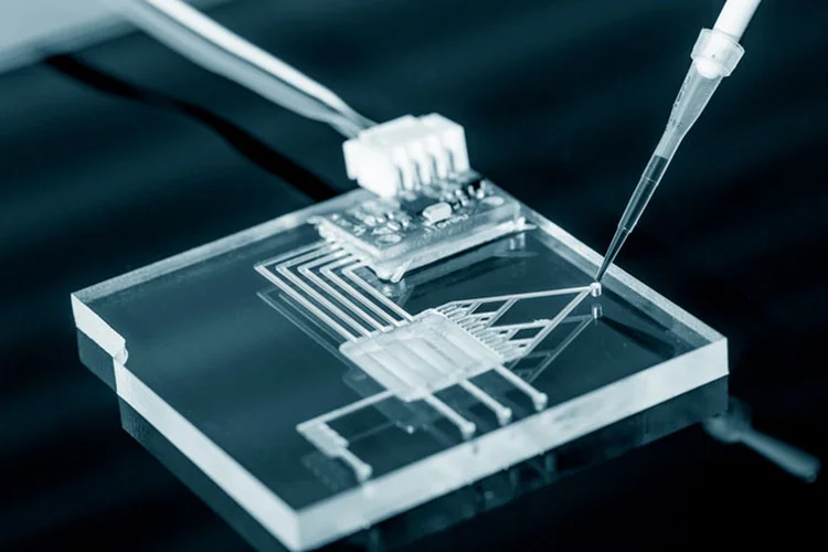 Biochip: para Raphael Bastos, primeiro brasileiro a ter um biochip no corpo, a questão religiosa pode ser um entrave no avanço da tecnologia (Thinkstock/Thinkstock)