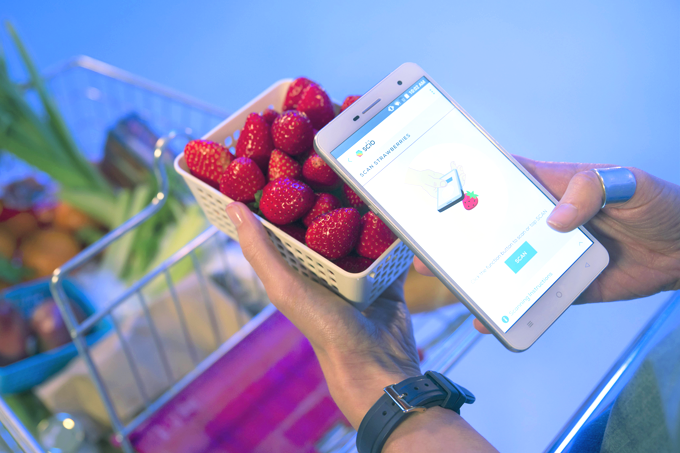 Sensor molecular para smartphone mostra qual é a fruta mais doce