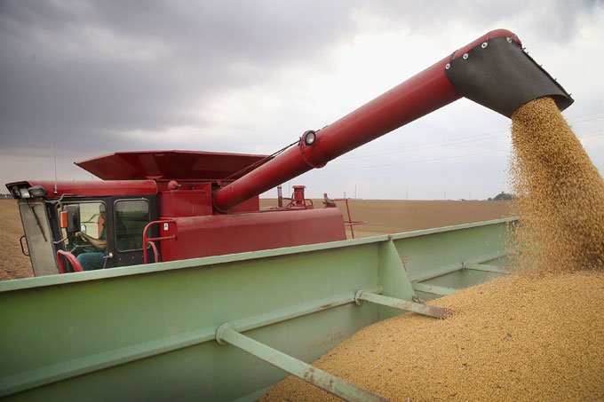 Importação de soja pela China cai a 7,69 mi t em junho