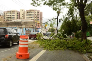 Imagem referente à matéria: Região mais afetada pelo apagão, Zona Sul lidera fila de 42,8 mil pedidos de poda de árvore em SP