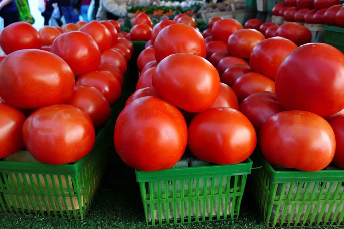 Cebola e tomate têm preços em queda nas Ceasas do país em janeiro, diz Conab