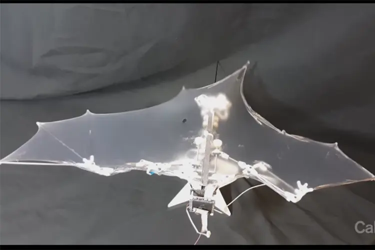 BatBot: cientistas conseguiram reproduzir os movimentos dos morcegos, que têm 40 articulações, usando apenas nove juntas mecânicas (Reprodução)
