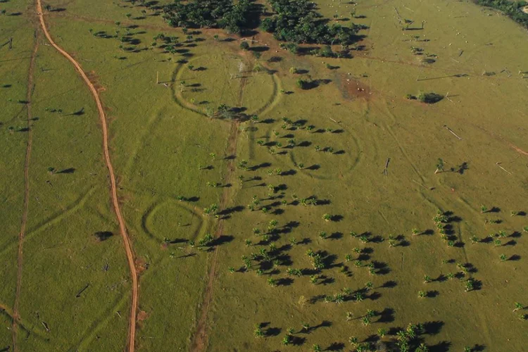 A proposta isenta os produtores rurais de pedir licenciamento ambiental para o cultivo agrícola ou criação de gado (Salman Kahn and José Iriarte / Exeter University/Divulgação)