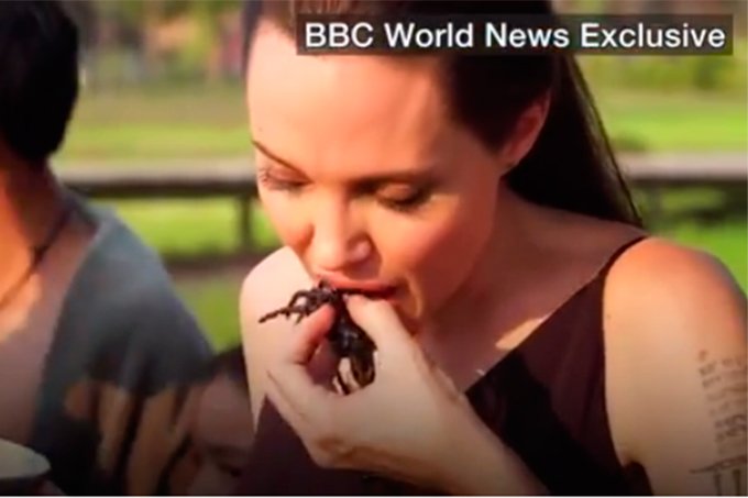 Angelina Jolie ensina os filhos como comer aranhas e escorpiões