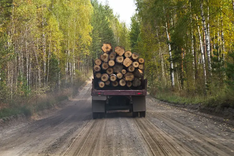 Caminhão com toras de madeira (foto/Thinkstock)