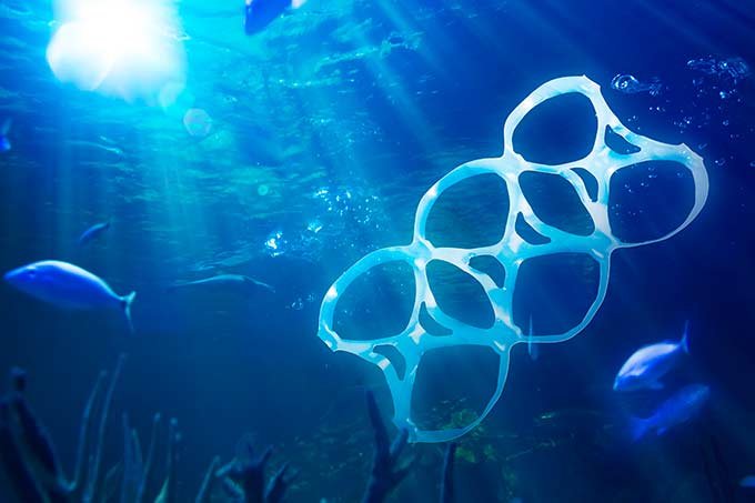 Poluição nos oceanos: relatórios estimam que 90% das aves marinhas já ingeriram plástico (fergregory/Thinkstock)