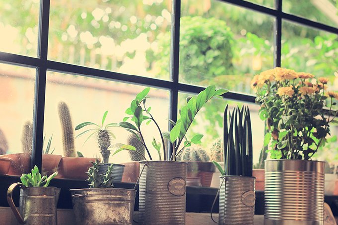 Um vaso de plantas em cima da mesa pode te ajudar a respirar fundo e se acalmar (happydancing/Thinkstock)