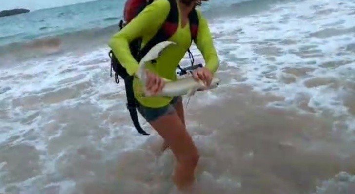 Após "selfie" com tubarão, turista é mordida e pagará R$ 10 mil