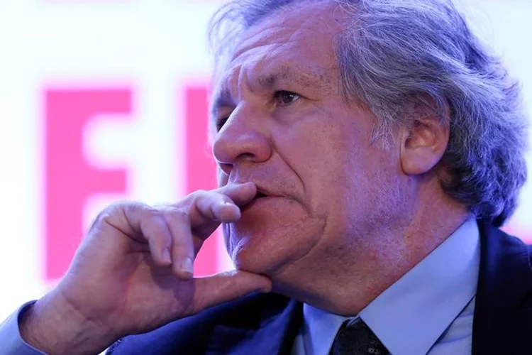 Luis Almagro: "o único caminho possível para que o vencedor seja o povo de Honduras é uma nova eleição geral" (Edgard Garrido/Reuters)
