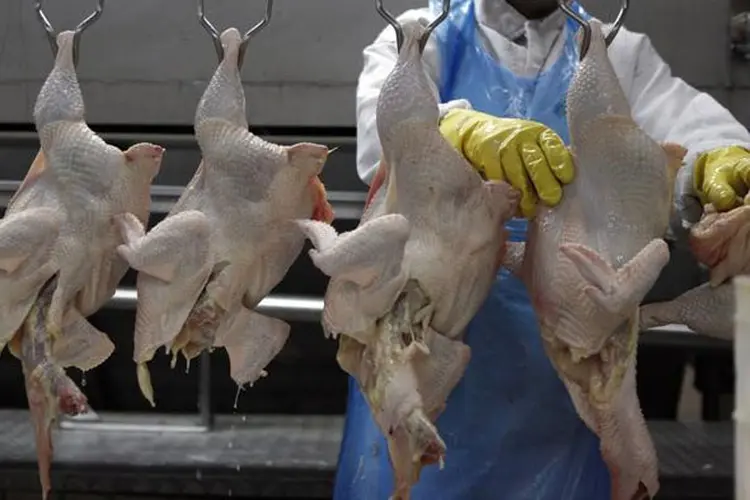 Exportações de carne de frango tiveram o primeiro saldo mensal positivo desde a Operação Carne Fraca, da Polícia Federal (Paulo Whitaker/Reuters)