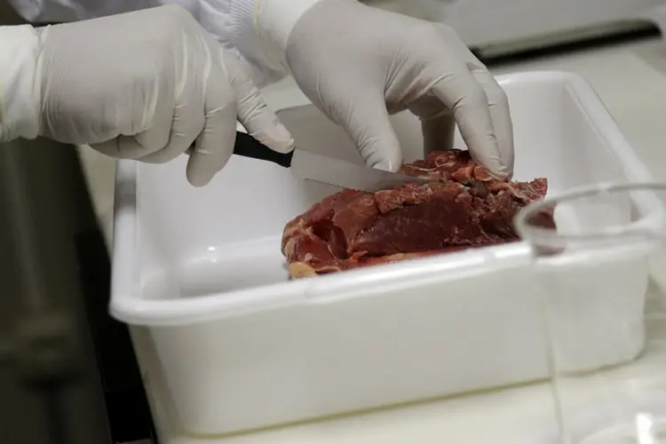 Resolução da Anvisa proíbe a comercialização de hamburguer misto envelopado congelado (carne bovina e frango) da Novilho e hamburguer bovino e congelado da Transmeat (Ricardo Moraes/Reuters)