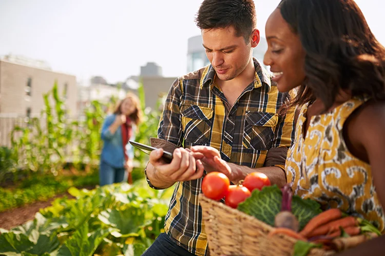 Origem dos alimentos: a Raízs quer que você conheça quem produziu o que foi para sua mesa (Foto/Thinkstock)