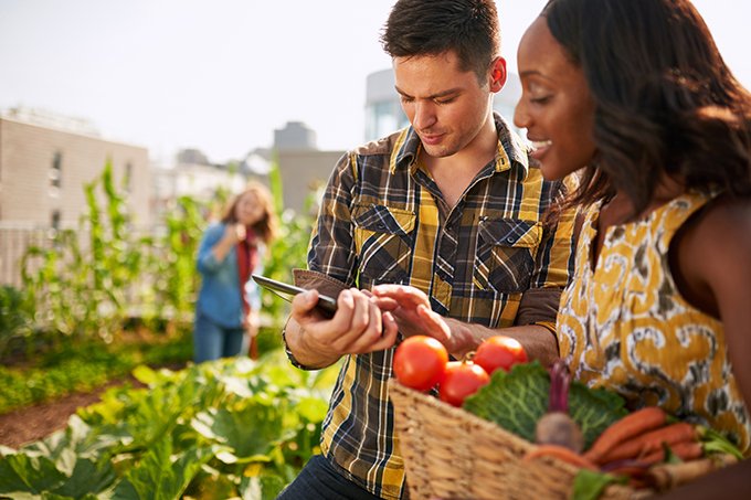 Este site quer que você conheça de verdade quem produz sua comida