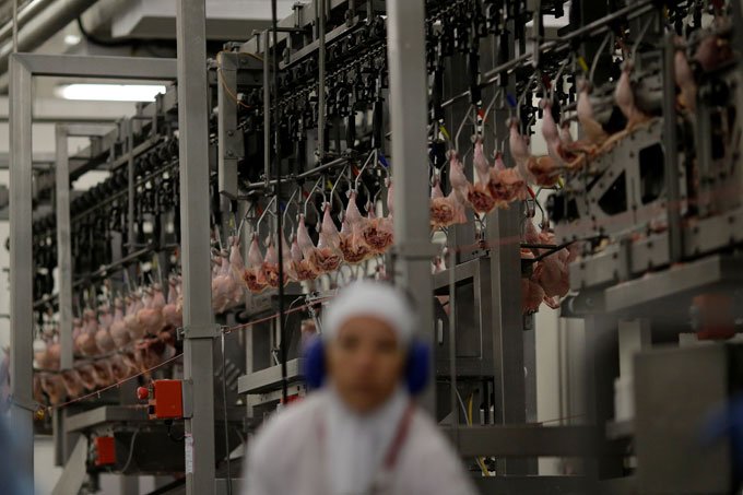 África do Sul suspende importações de carnes do Brasil