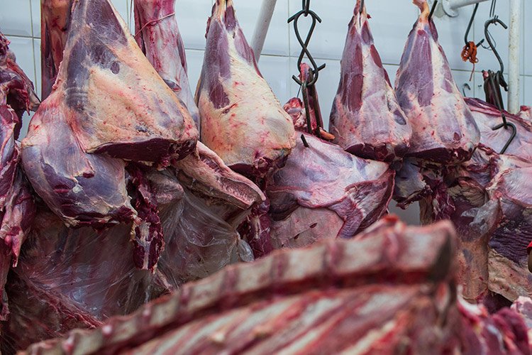 Exportadora de carne tranquiliza o mercado e ações voltam a subir