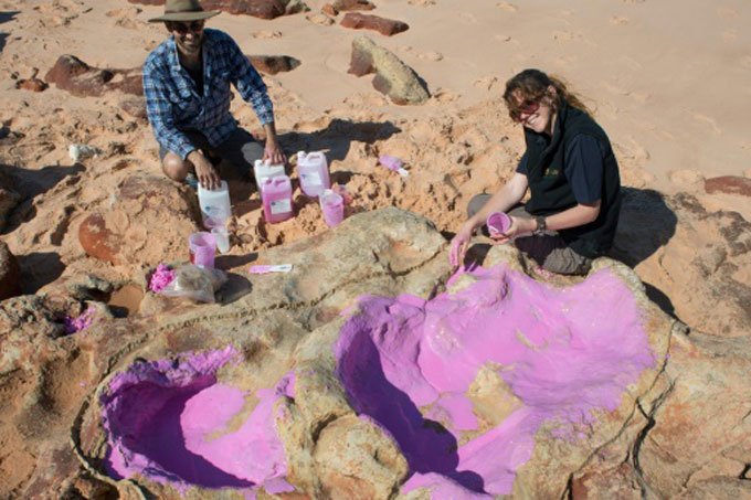 Grupo identifica 21 tipos de marcas de dinossauro na Austrália