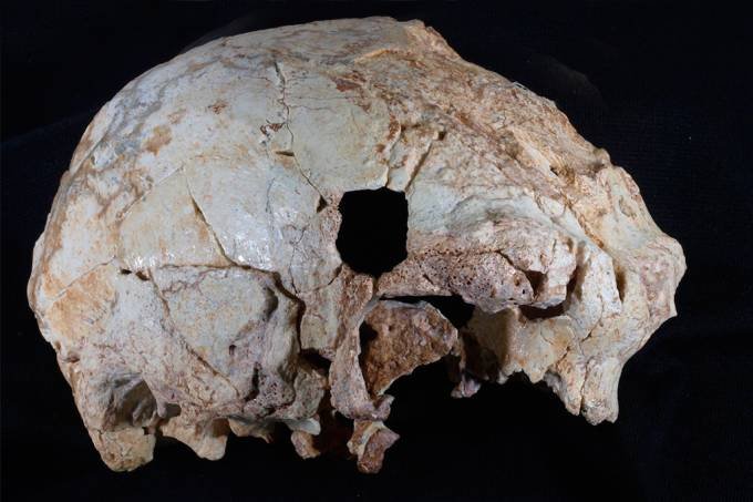 Encontrado em Portugal crânio humano de 400 mil anos