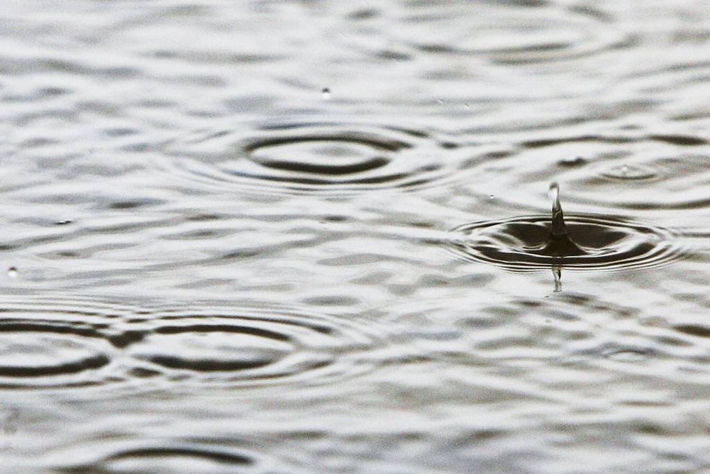 39 cidades do AL e PE vivem duas tragédias: seca e chuva