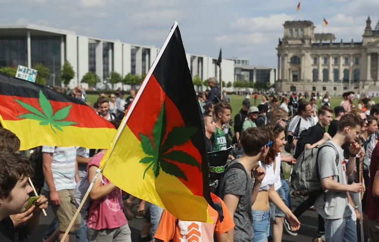 Maconha: em abril do ano passado, um total de 647 doentes tinham conseguido autorização especial para consumir cannabis medicinal (Sean Gallup/Getty Images)