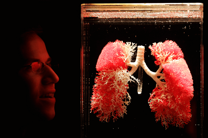 Cientistas descobrem função inesperada dos pulmões