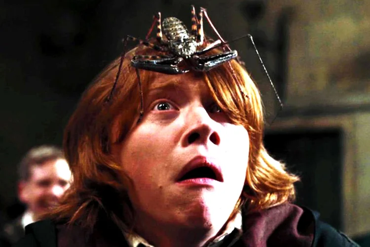 Rupert Grint, em ação como Ron Weasley: patrimônio imobiliário do ator ultrpassa os 170 milhões de reais (YouTube/Reprodução)