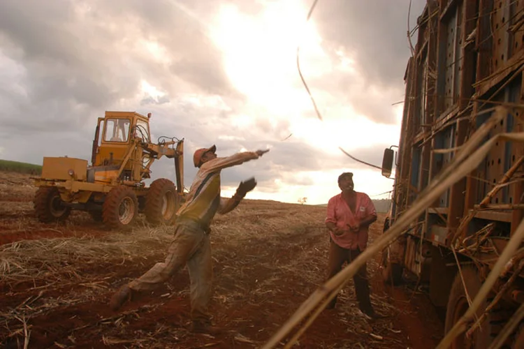 Trabalhador rural: a proposta iguala regras entre trabalhadores urbanos e rurais, estabelecendo para ambos aposentadoria a partir dos 65 anos de idade (Andre Vieira/Getty Images)