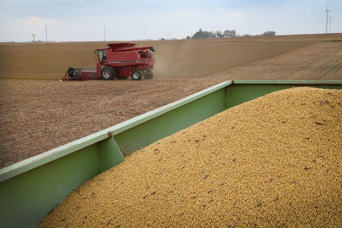 Plantio de soja nos EUA deverá bater recorde em 2017