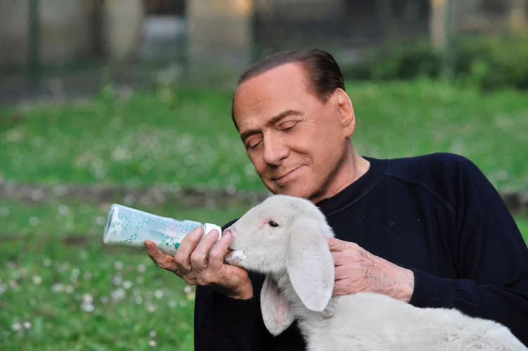Berlusconi: o quinto dos cordeiros tem apenas dez dias e foi batizado como "Floco de Neve" (Maurizio Calzari/Lega Italiana Difesa Animali e Ambiente/Reuters)