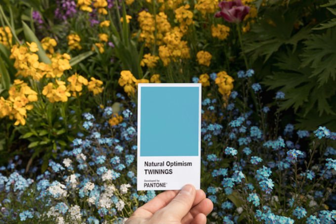 Chá Twinings cria nova cor Pantone para combater pessimismo