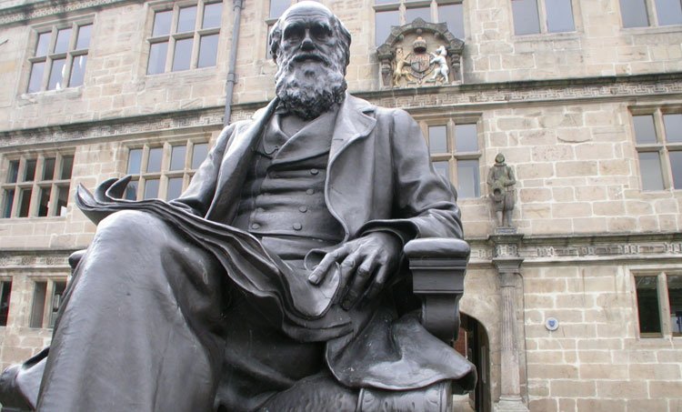 Este era o segredo de Darwin – e outros gênios – para a criatividade