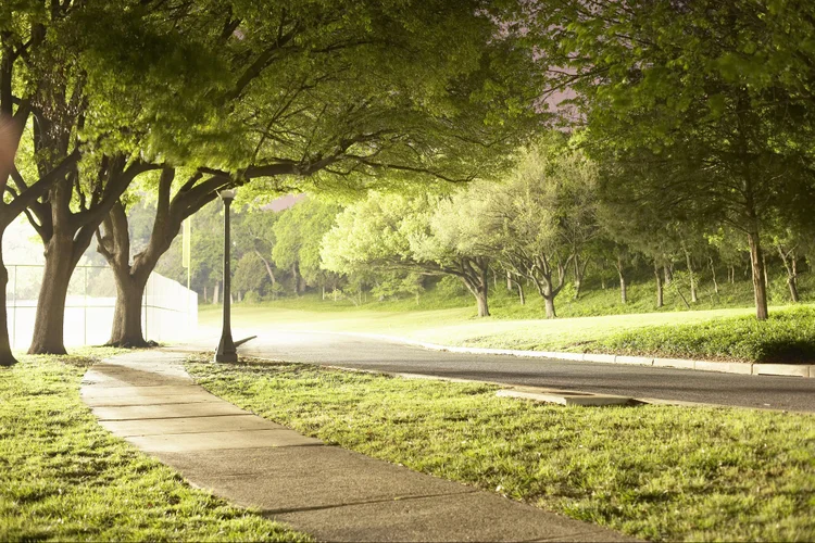 Parques: plantio de árvores, coleta de água da chuva, plano contra enchentes são algumas das melhorias do bairro (Siri Stafford/Thinkstock)