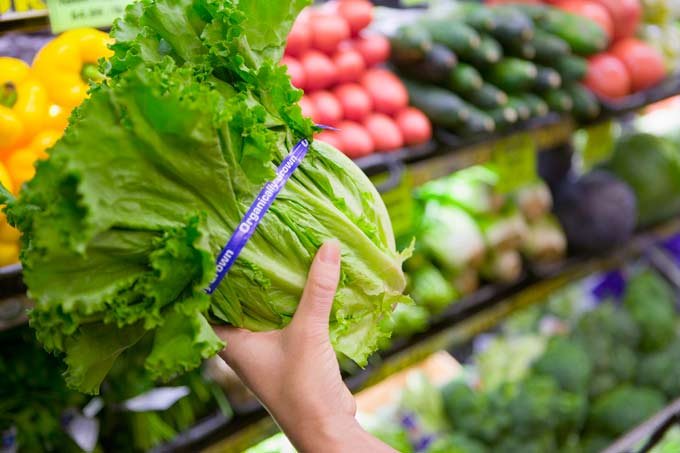Você daria R$ 2 bi a uma startup que vende legumes? Pois isso aconteceu