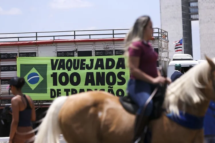 Vaquejada: a proposta, de origem do Senado, foi defendida principalmente por deputados das regiões Nordeste e Centro-Oeste (Marcelo Camargo/Agência Brasil)