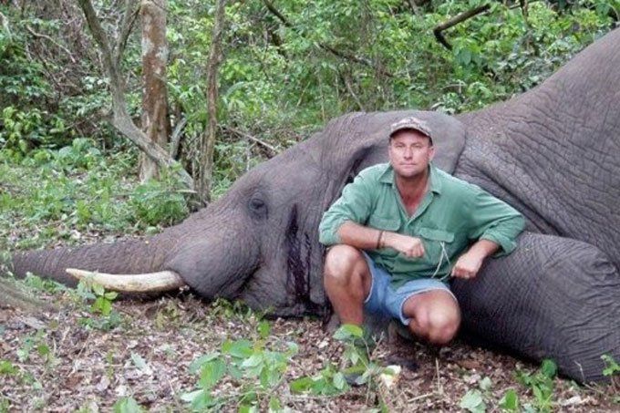 Caçador morre após ser esmagado por elefante no Zimbábue