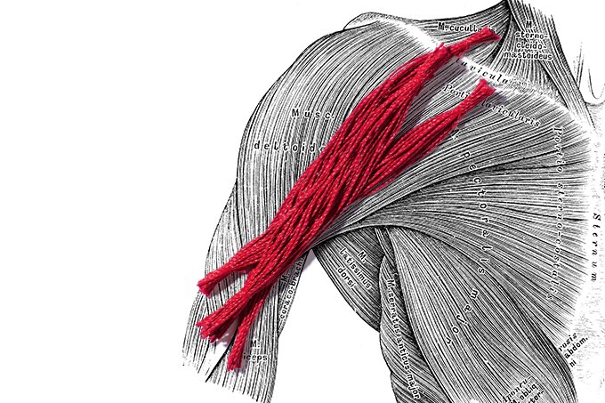 6 causas da perda de massa muscular