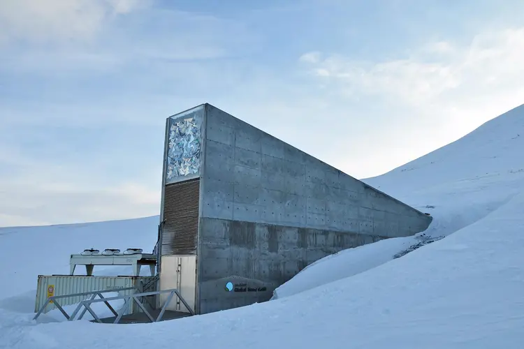 Preservação: pesquisadores contam que se inspiraram no Cofre Global de Svalbard, na Noruega, a maior coleção de sementes do mundo (The Svalbard Global Seed Vault/Divulgação)
